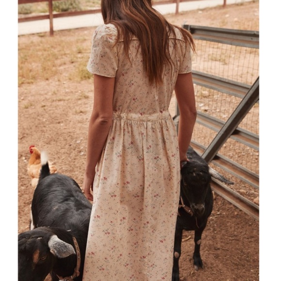 ♥️ Christy Dawn Dress Cream Rose - Picture 4 of 8